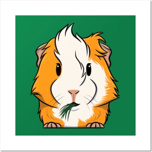 Orange/White Abyssinian Guinea Pig Posters and Art